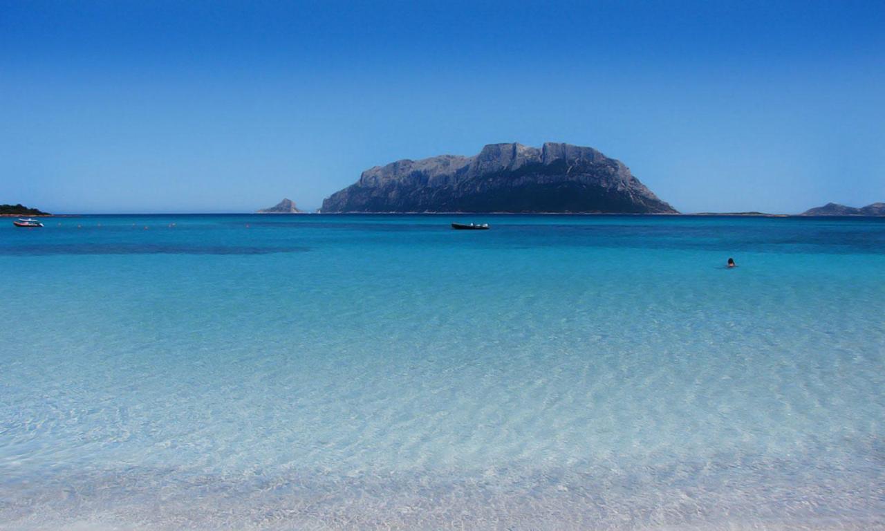 Pittulongu, Trilocale Vista Mare Villa Olbia Dış mekan fotoğraf